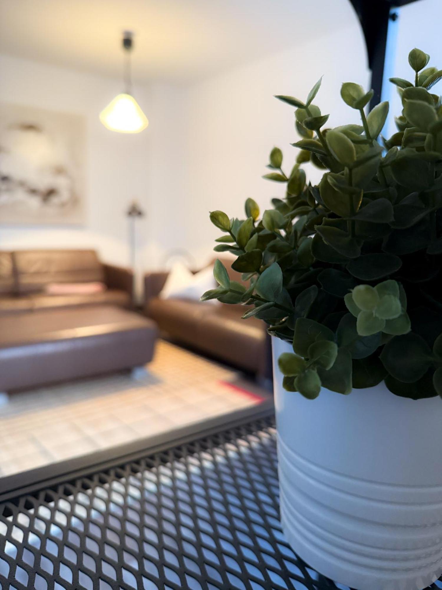 Alexxanders Apartments & Studios Хемниц Номер фото